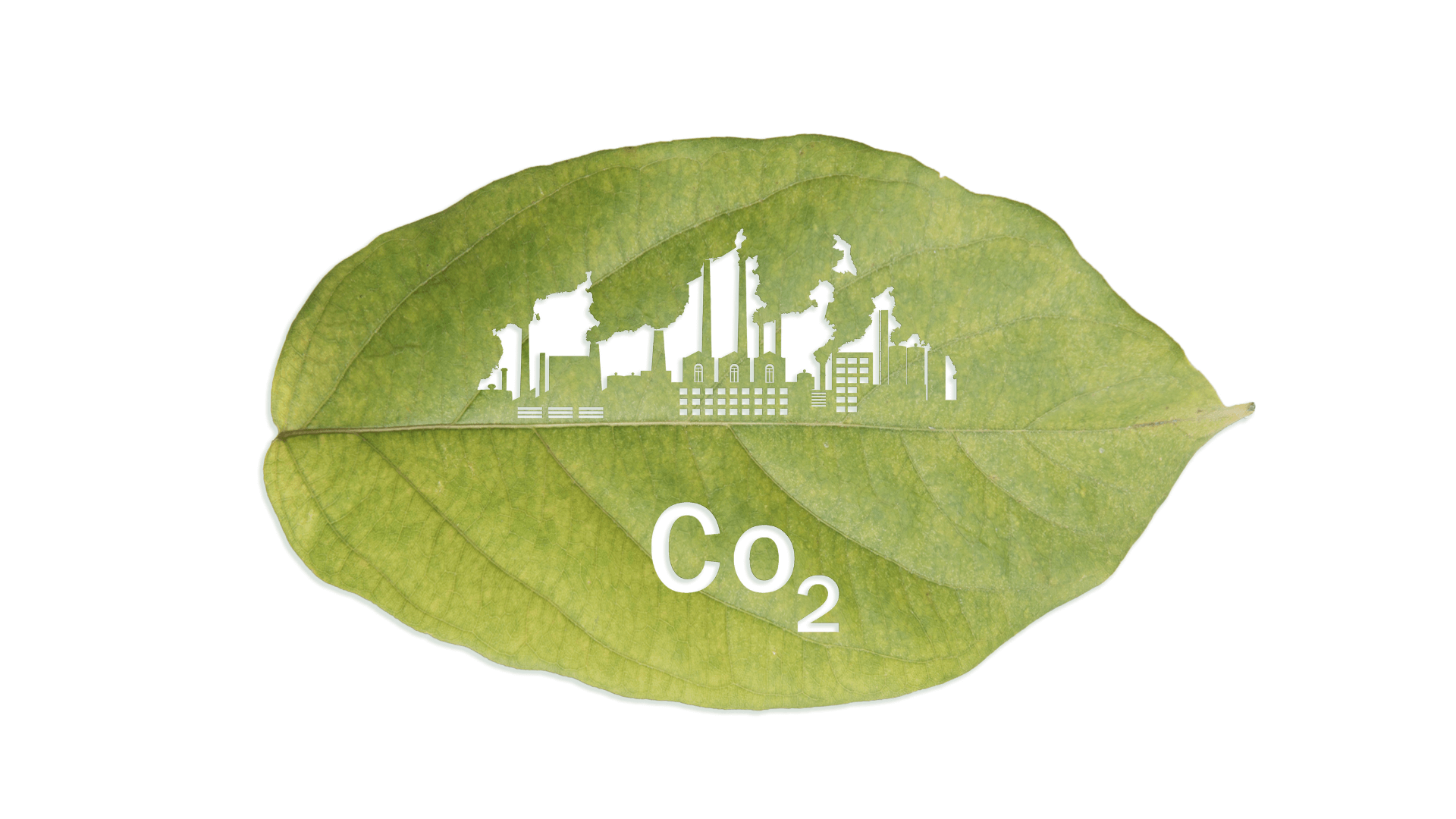 Jejak Karbon (Carbon Footprint): Apa Itu, Cara Menghitung, dan Cara Menguranginya